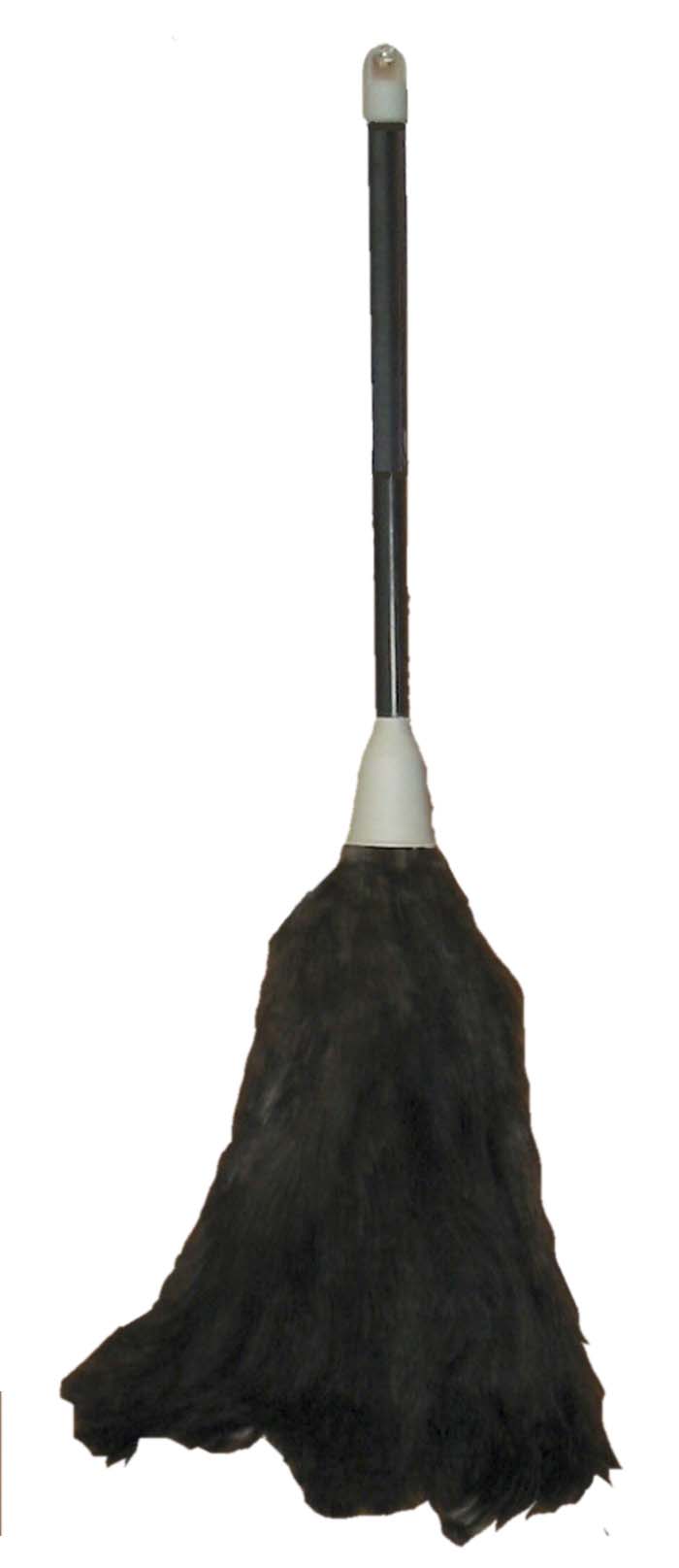 (image for) Feather Dusters